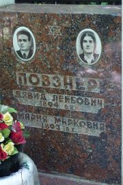 Повзнер Давид Лейбович, Москва, Востряковское кладбище